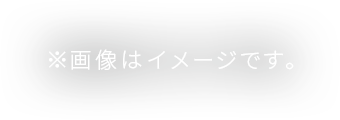 ※画像はイメージです