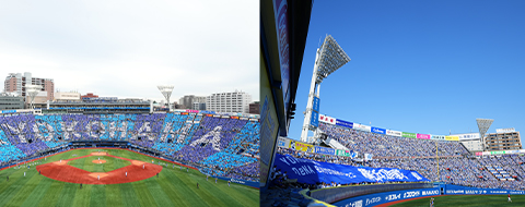 English Page | YOKOHAMA DeNA BAYSTARS English Page | YOKOHAMA DeNA BAYSTARS