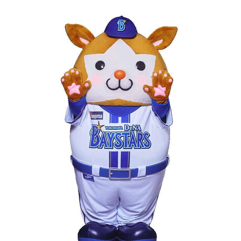 2021年度ベイスターズ ファンクラブカードフルコンプリートセット 2021年度ベイスターズ ファンクラブカードフルコンプリートセット 2021