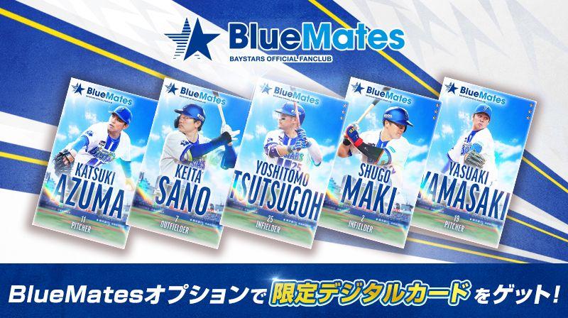 オプション ｜ ファンクラブ特設サイト ｜ 横浜DeNAベイスターズ
