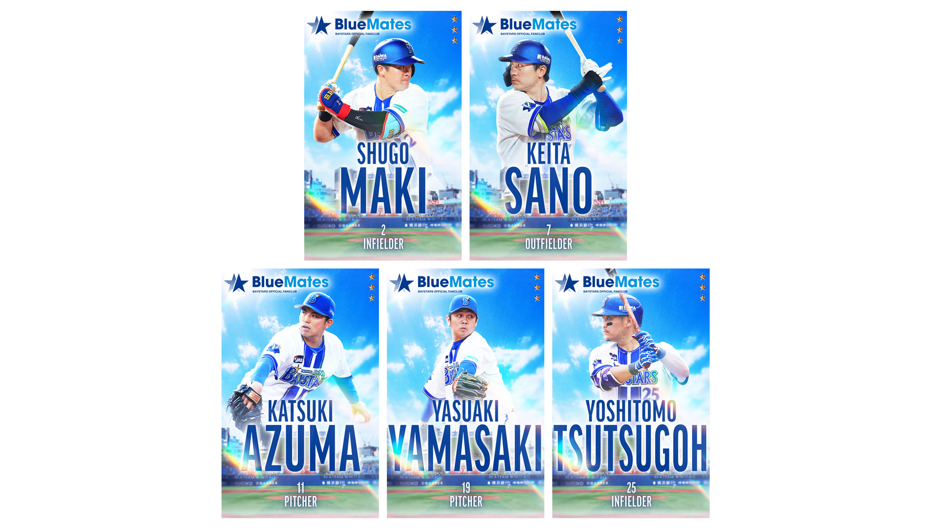 オプション ｜ ファンクラブ特設サイト ｜ 横浜DeNAベイスターズ