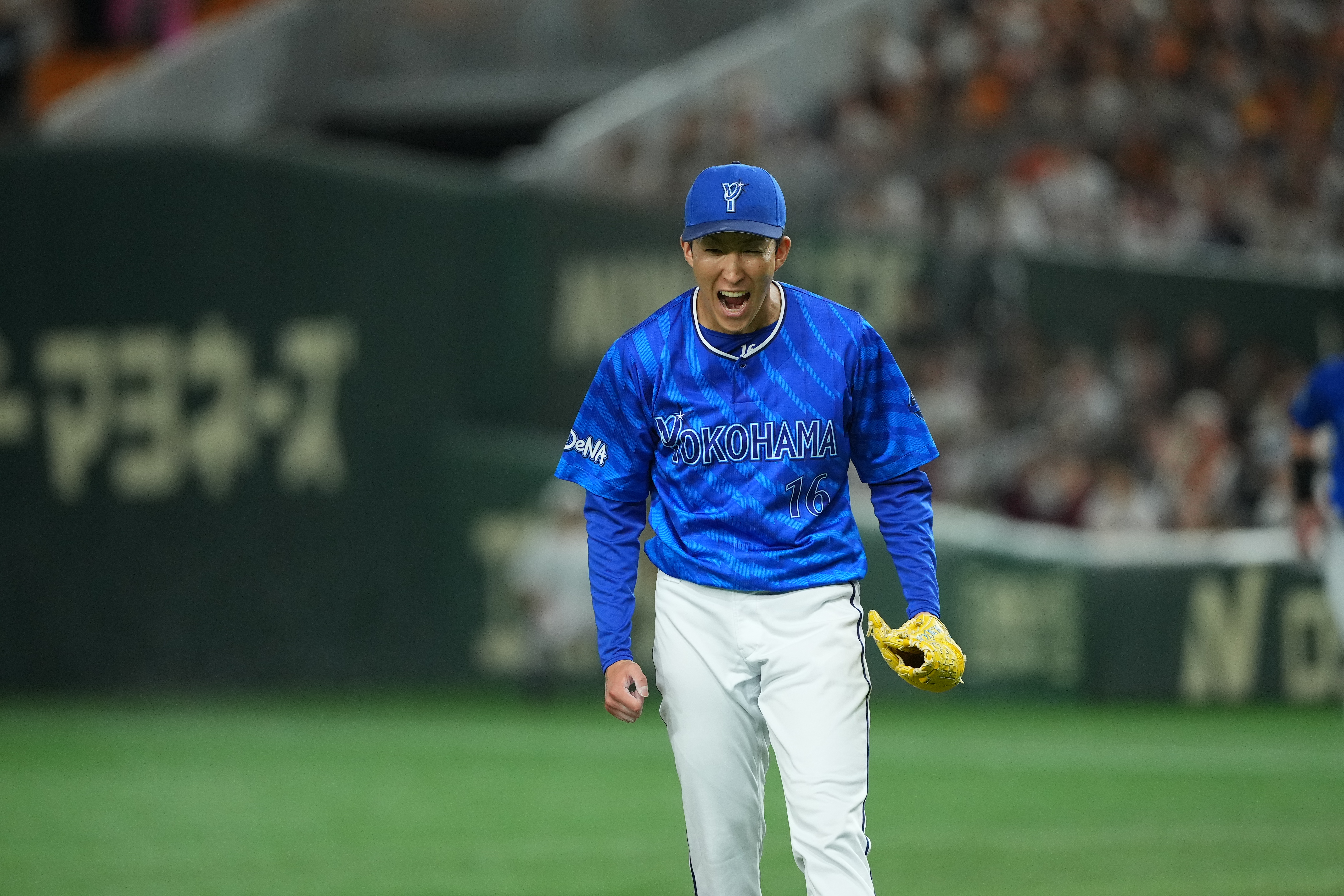 SMBC NIPPON SERIES 2024 | 横浜DeNAベイスターズ