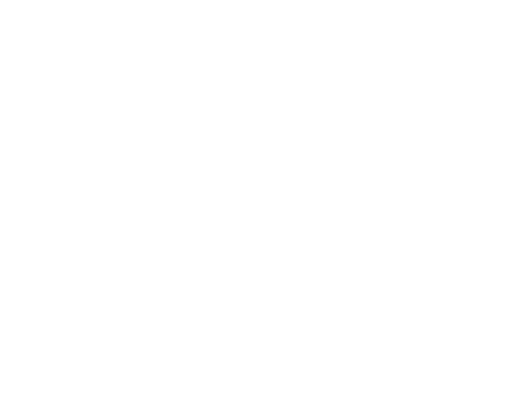 VS DRAGONS 4/7 FRI  18:30 4/8 SAT 18:00 4/9 SUN 18:00