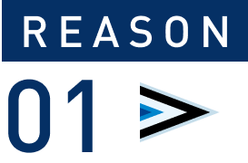 REASON 01