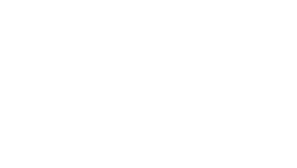THE BAYS